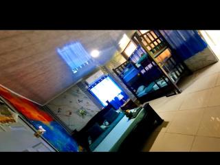 Cabins yafeth osa drake bay - 5