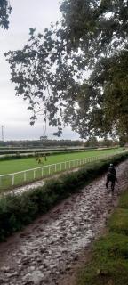 San isidro 2 ambientes - 6