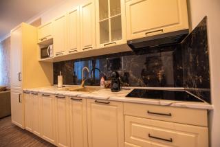 Apartament centrul vechi Craiova - Craiova - 3