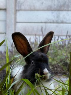Munro Beach House - 4