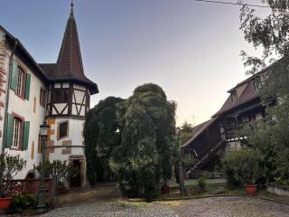 La cour du vigneron - Turckheim - 9