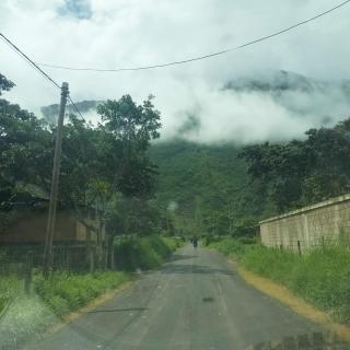 Cabaña en alquiler - oxapampa - 2