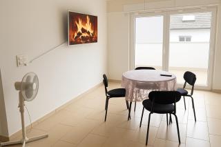 Homely 2,5 room apartment - 1