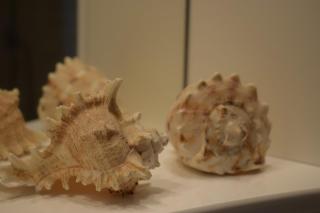 Funky Nest - A cozy apartment in Zipari - 2