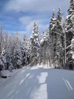 Chalet Pôle Nord - Luxe Exceptionnel, Spa et Sauna - 1
