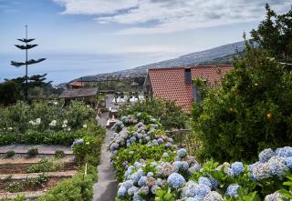 Yeotown Madeira Wellness Hotel and Nature Stay - 1