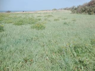 7 person holiday home in Bredebro-By Traum - 2