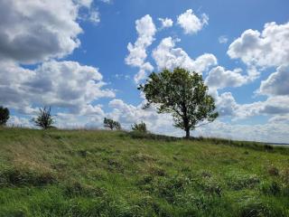 8 person holiday home in Ølsted-By Traum - 6