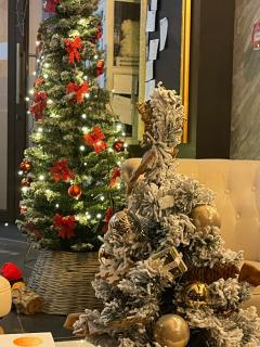 Mamma Mia Hotel Boutique - Only Adults - 8