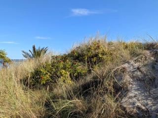 6 person holiday home in Frederikshavn-By Traum - 4