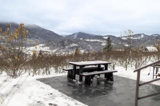 Яблуневий схил - 6