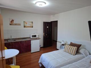 Apartahotel portal de leon - 1