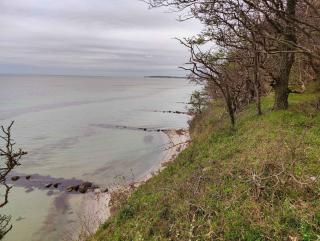 Quiet Cottage Near Nature, Water And Views - 6
