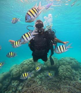 Turtles Bay Resort - 8