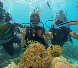 Turtles Bay Resort - 9