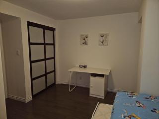 Spacious basement with private bathroom , sitting room and TV - 3