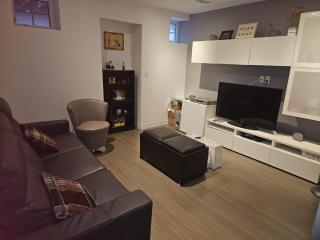 Spacious basement with private bathroom , sitting room and TV - 6