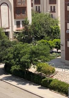 Luxury & stylish & have workstation & comfortable - 8