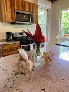 Tropical Jungle House - 6