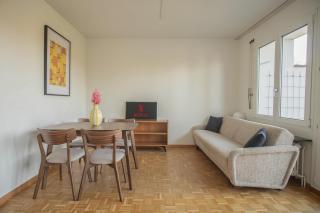 Top floor apartment with two terraces and BaselCard - 9