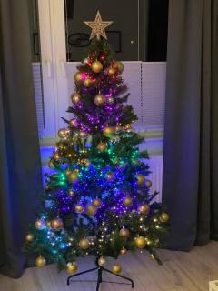 Harzperle 1 II zentrales 3 Zi Apartment II Familien - 7