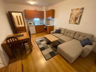 CEDAR LODGE NEXT TO LIFT ONE BEDROOM APARTMENT - 5