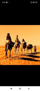 Guests House With View Rooftop - 4