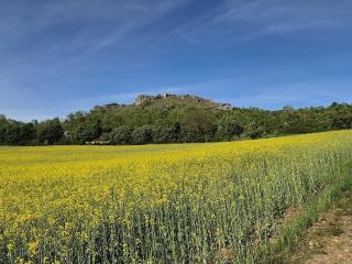 Holiday apartment with 1 bedroom - 8