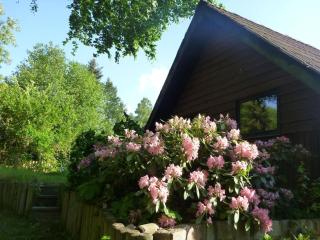 Holiday home in Süttorf with swimming pool - 3