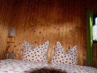 Holiday home in Süttorf with swimming pool - 9