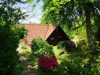 Holiday home in Süttorf with swimming pool - 0