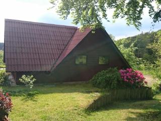 Holiday home in Süttorf with swimming pool - 5