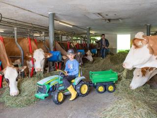 Sonnblick in Huaterhof - 5