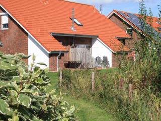 Holiday Village Robbenplate House 8 - Hoddersdeich - 9