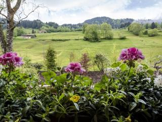 Cabin in Ofterschwang with swimming pool - 4