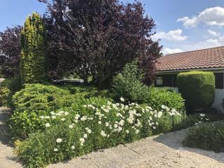 Dune House North Sea Wind - 5