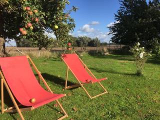 Historic farmhouse 1840 - 8