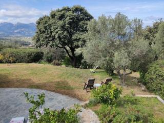 Holiday apartment in Lumio with swimming pool - 5