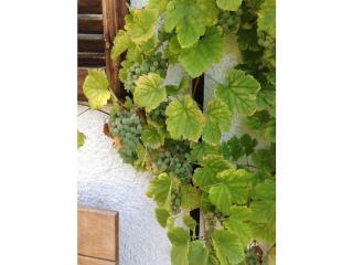 Holiday apartment with 2 bedrooms - 1