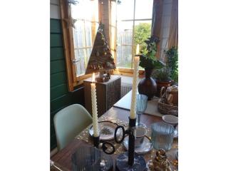 Tiny Botanic House - 1