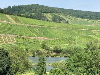 Pünderich Castle View - Pünderich - 8