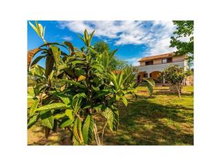 Holiday home Marmelo - 3