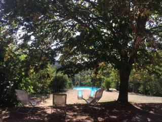 Syrah - Domaine La Flotte - 6