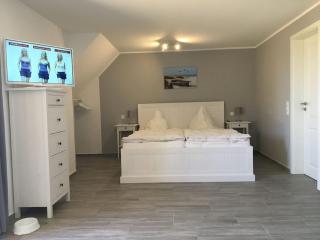 Darss holiday with and without a dog - 6