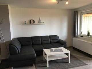 Darss holiday with and without a dog - 1