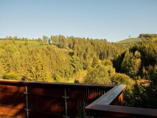Tannenhäuschen Sauerland - 6