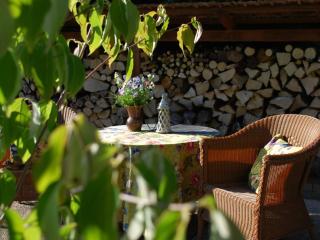 Haus Elisabeth Comfortable holiday residence - 4