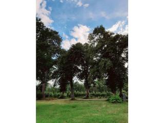 Holiday home with 3 bedrooms - 8