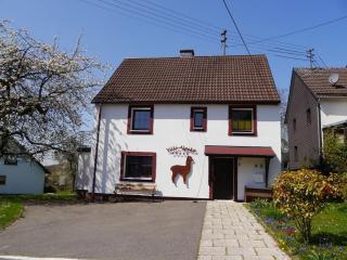 Holiday home in Windeck with swimming pool - 9