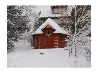 Holiday home in Windeck with swimming pool - 3